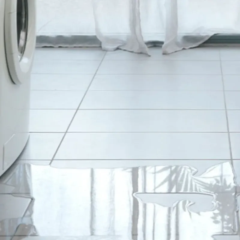 Appliance Leak Cleanup in Columbia, CA