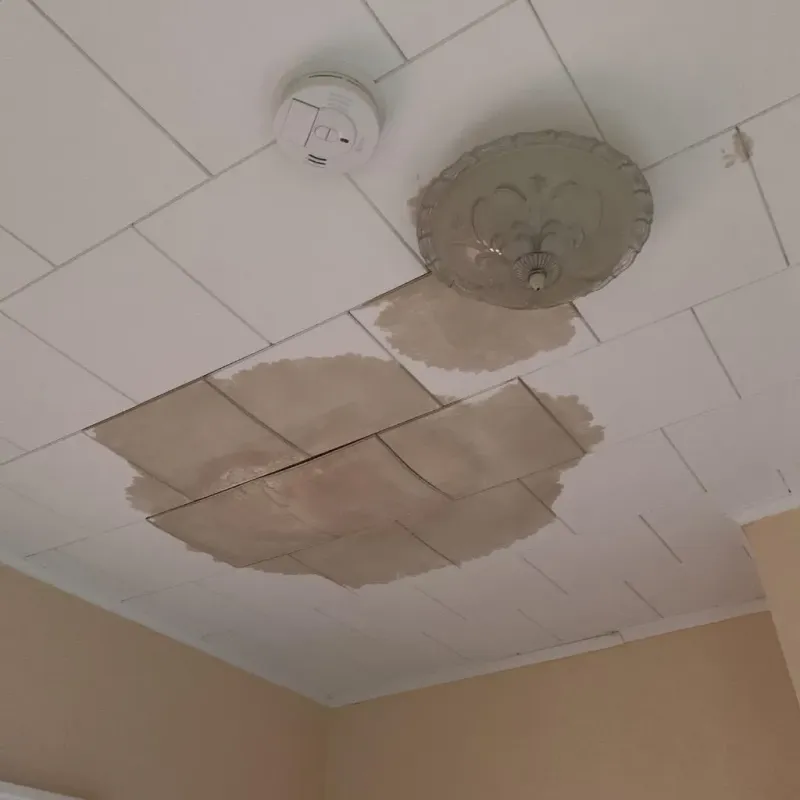 Ceiling Water Damage Repair in Columbia, CA