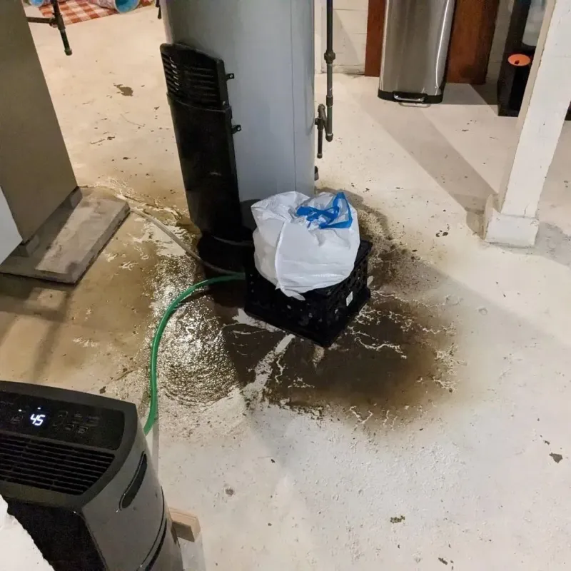 Sewage Backup Cleanup Service in Columbia, CA